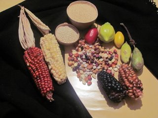 Seed diversity.